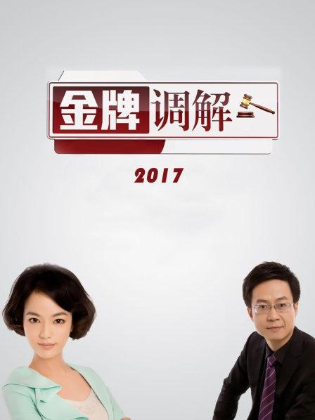 金牌调解 2017